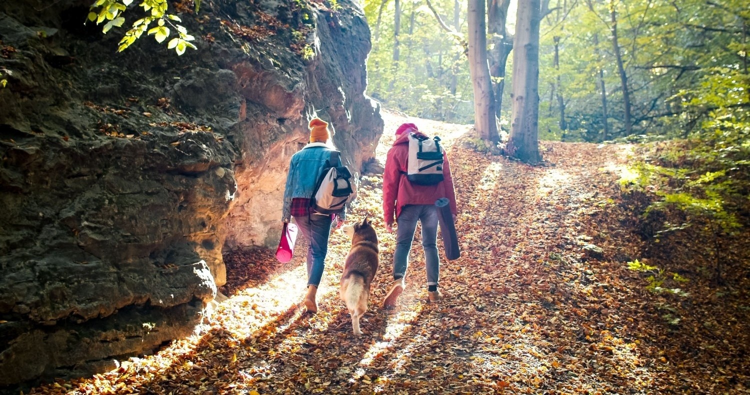 Dve osebi hodita po gozdu, med njima hodi pes