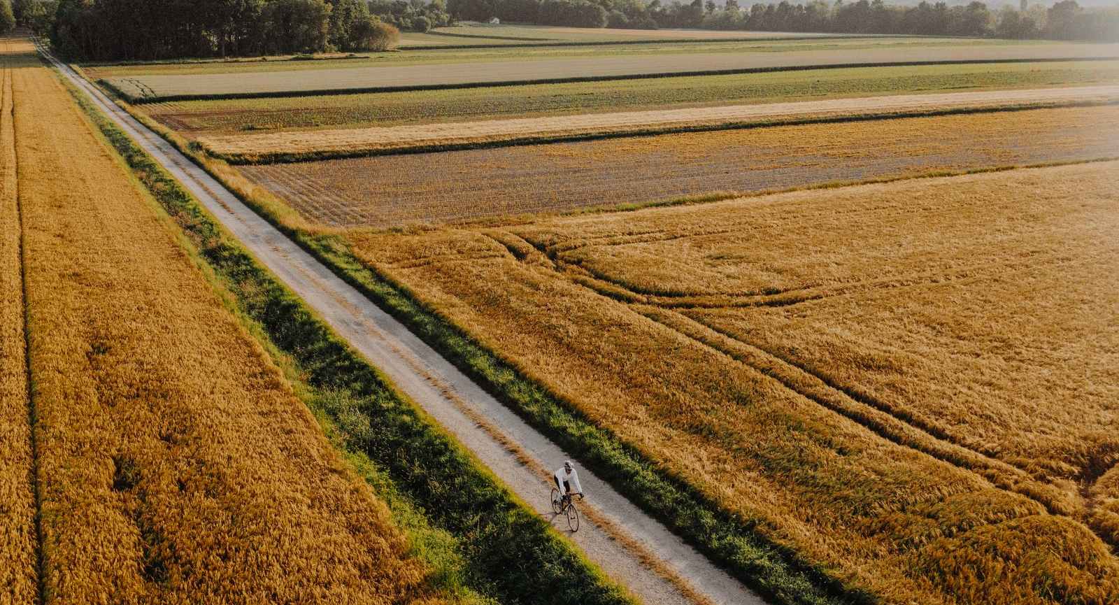 Kolesar vozi po peščeni cesti sredi polj