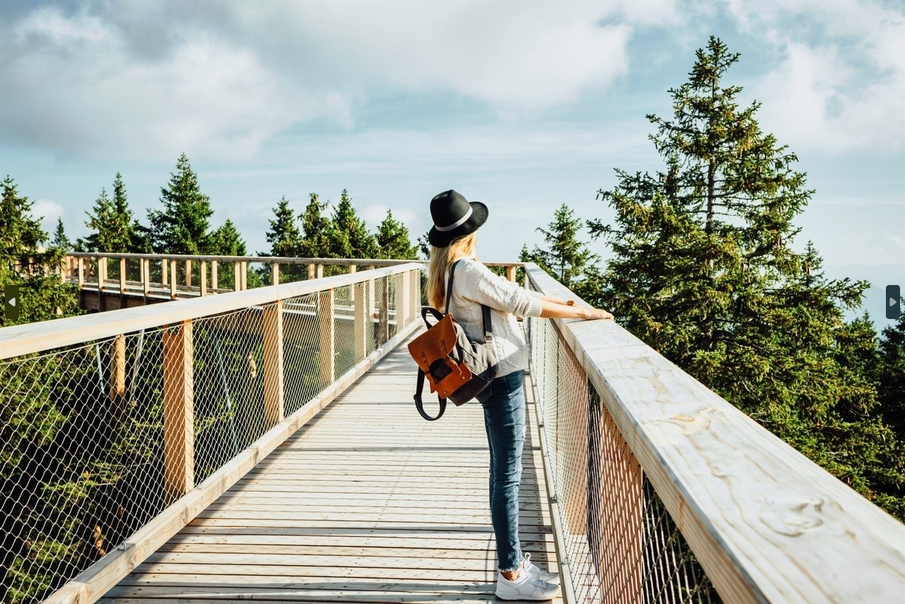 Ženska stoji na lesenem mostu sredi gozda