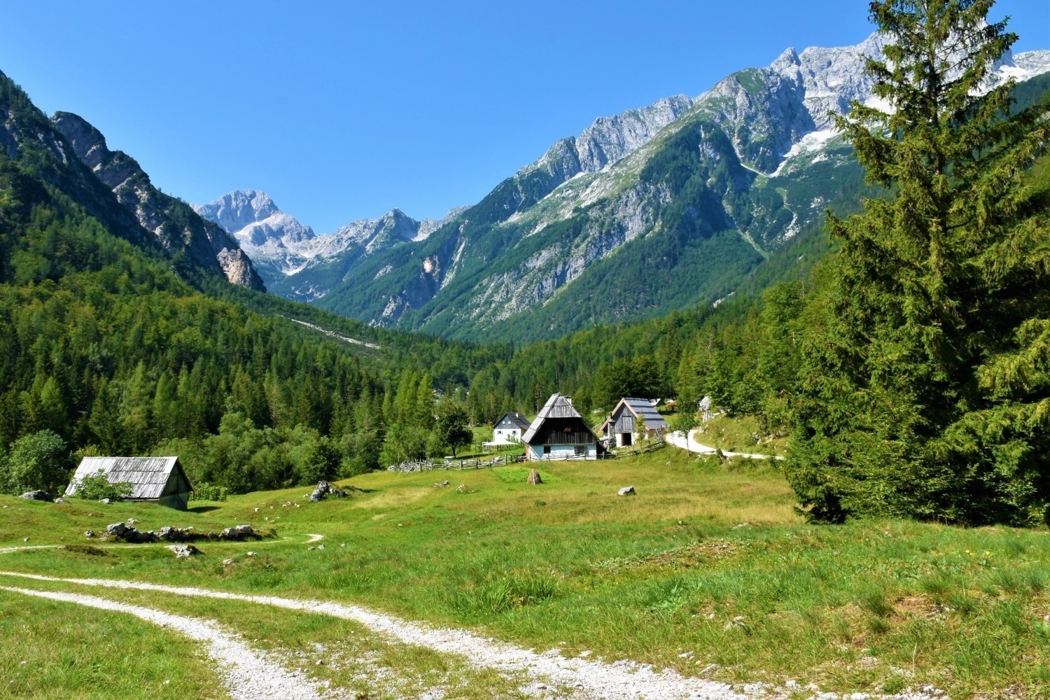 Travnik s hiškami, gozdom in gorami