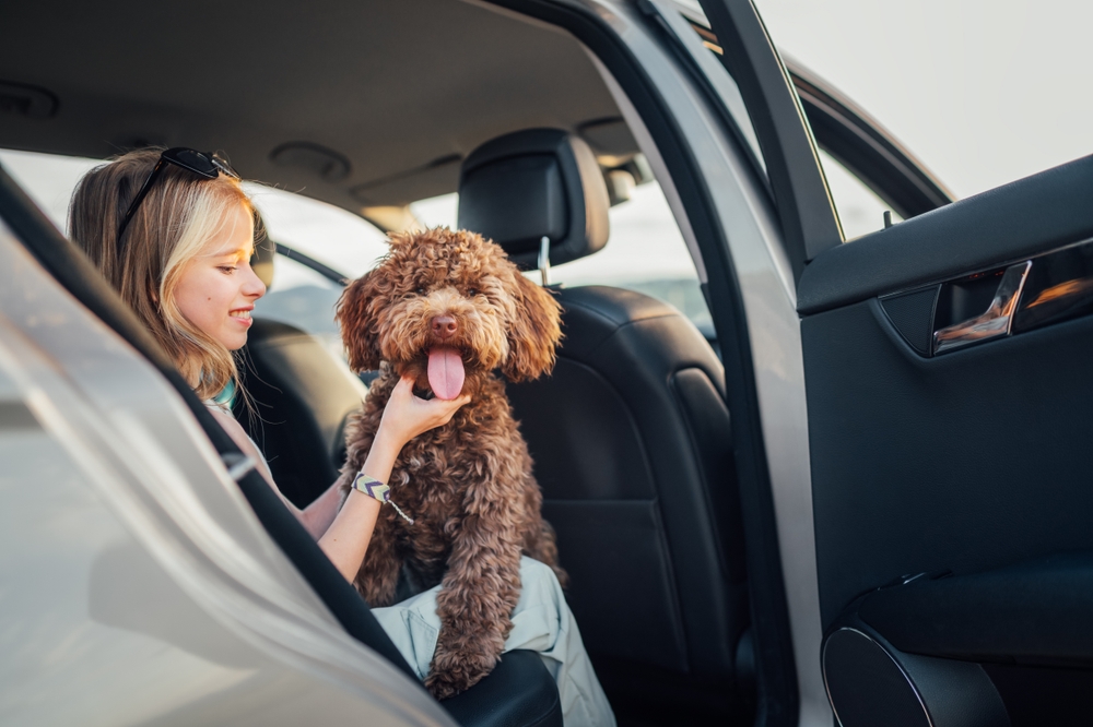 Deklica sedi v avtu in drži psa v naročju
